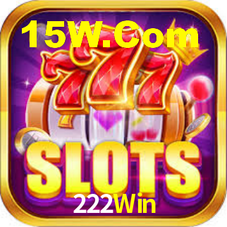 222Win App Interface